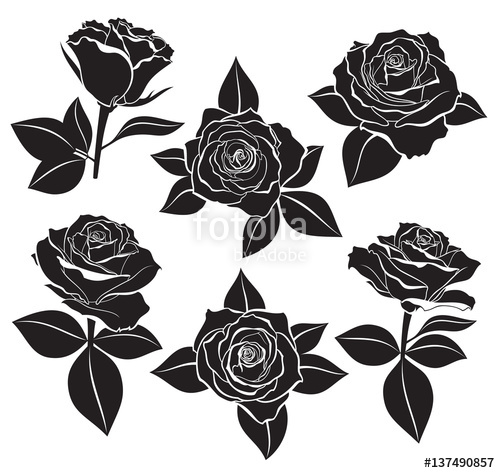 500x473 Vector Set Of Rose Buds, Stems And Leaves With White Contour Line