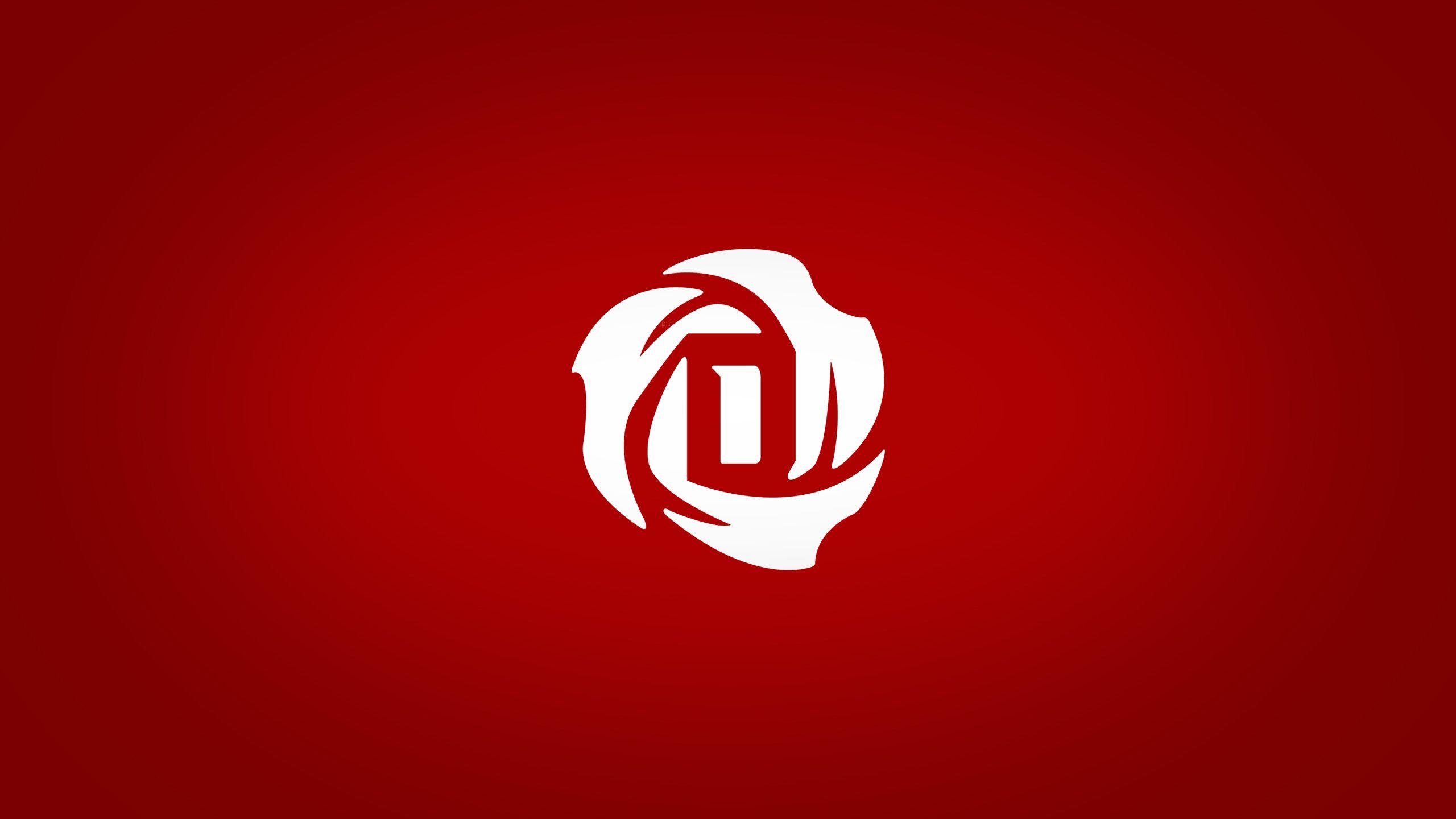2560x1440 Derrick Rose Logo Wallpapers