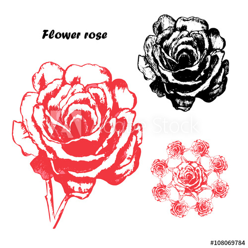 500x500 Flower, Rose,ornament, Pencil Drawing, A Circular Pattern