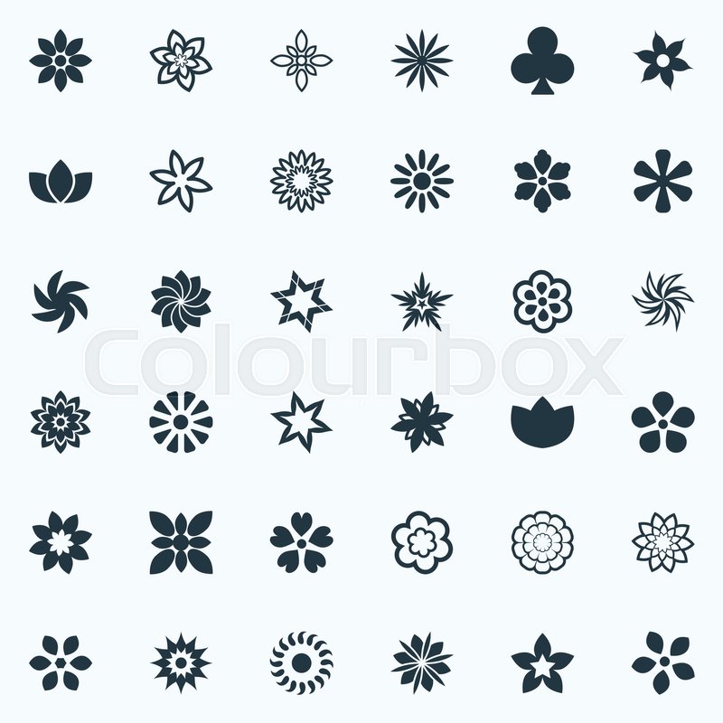 800x800 Elements Larkspur, Peonies, Gerberas And Other Synonyms Hibiscus