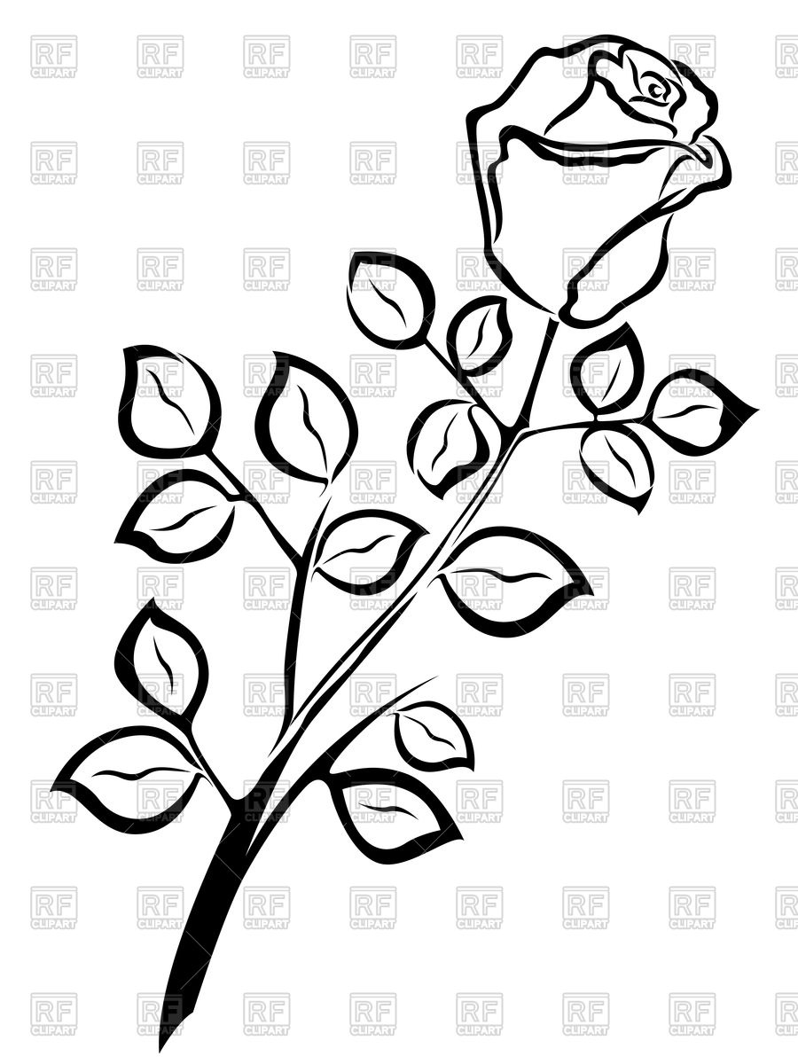 900x1200 Outline Of Rose Vector Image Vector Artwork Of Plants And