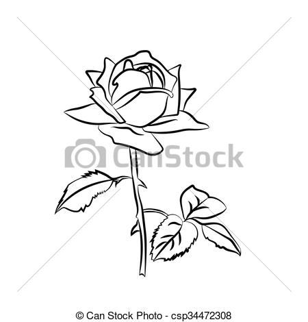 450x470 Rose Sketch On White Background. Rose Sketch. Black Outline