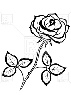 300x400 Beautiful Black Outline Rose Vector Image Vector Artwork Of
