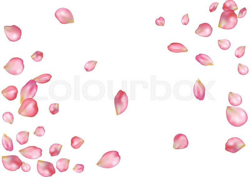 800x567 Abstract Background With Flying Pink Rose Petals. Vector