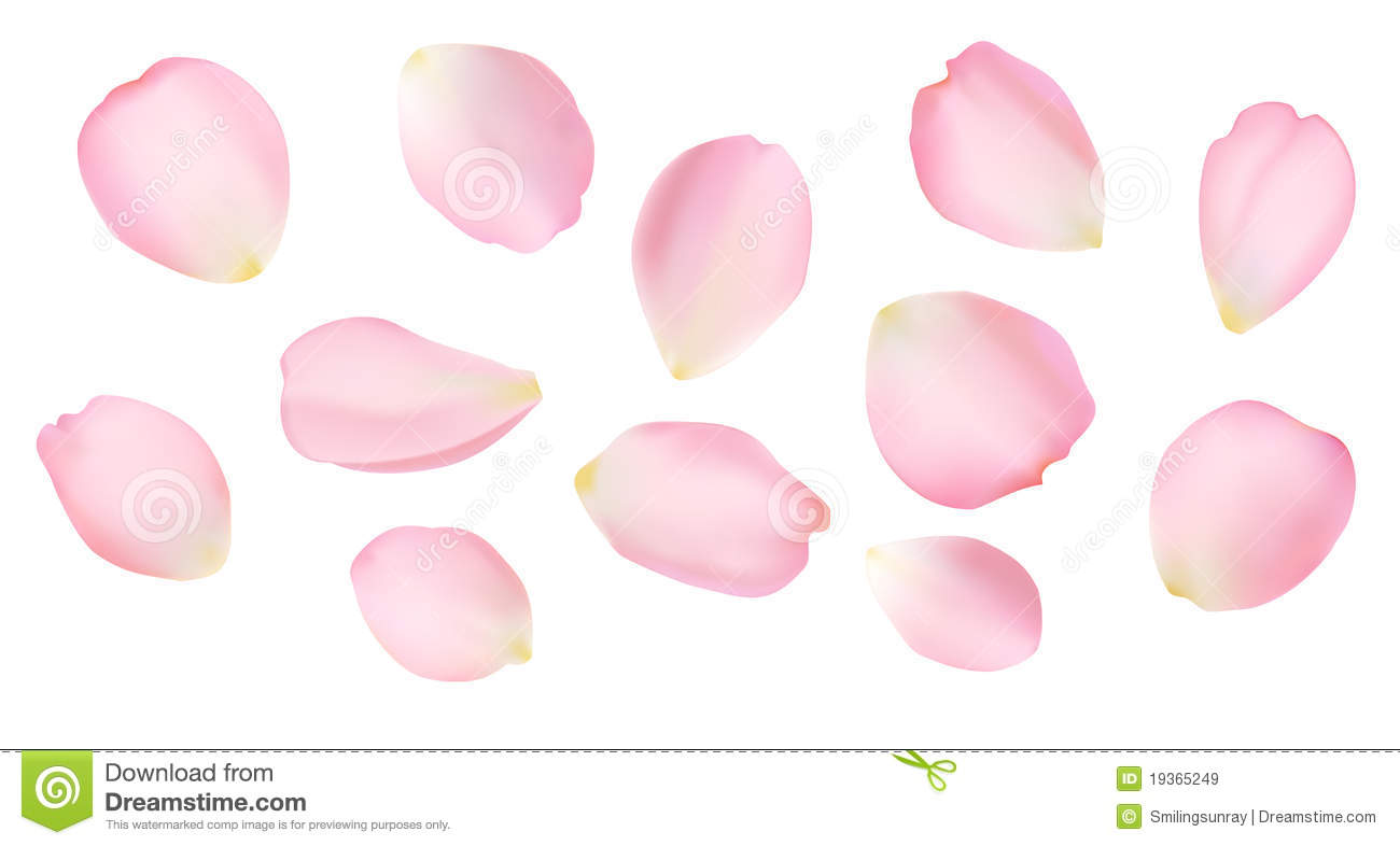1300x786 Rose Petals Clipart