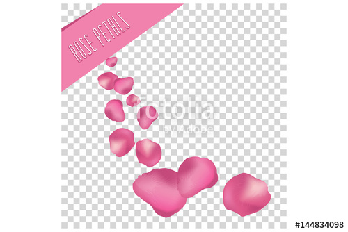500x334 Rose Petals. Vector Illustration. Stock Image And Royalty Free