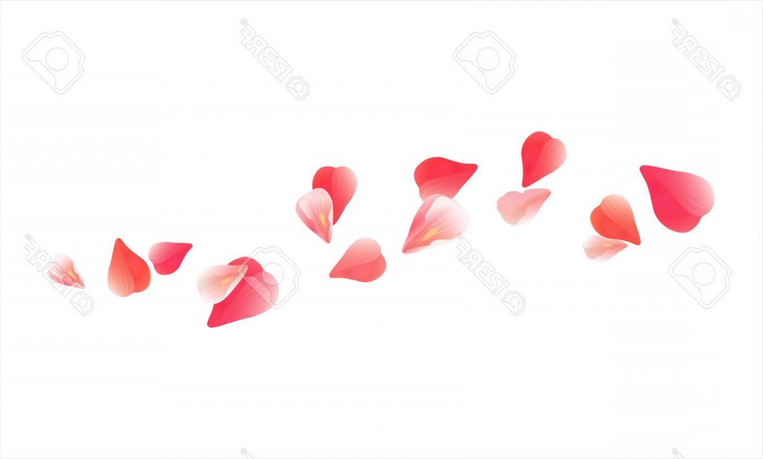 1560x940 Soft Flower Petals Vector Sohadacouri