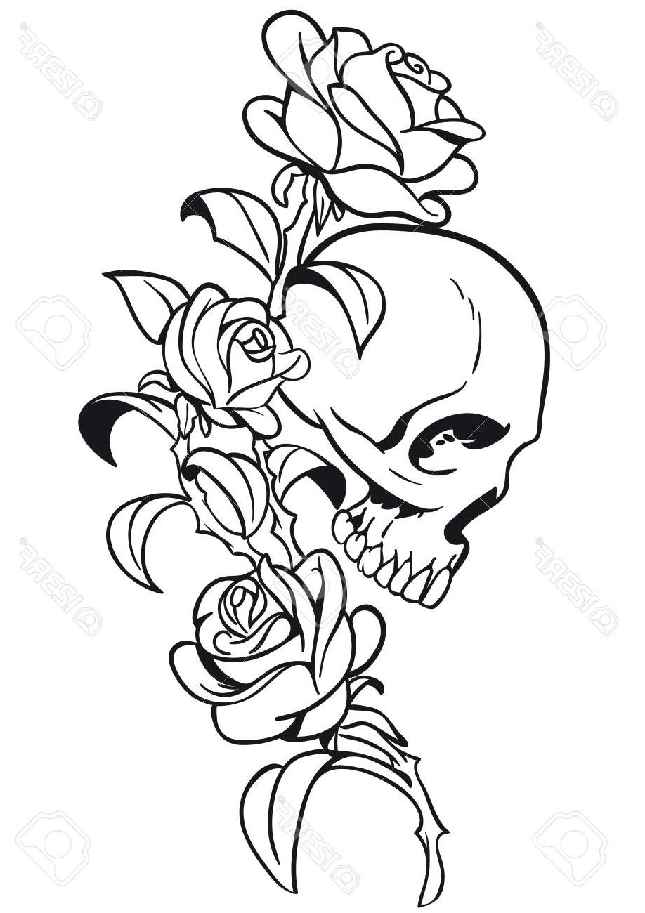 918x1300 Best Hd Skull With Rose Tattoo Vector Desihn Pictures