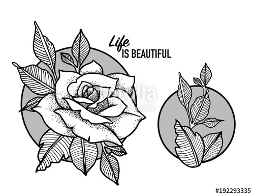 500x385 Rose Tattoo Design Blackwork Tattoo Flash. Highly Detailed Vector