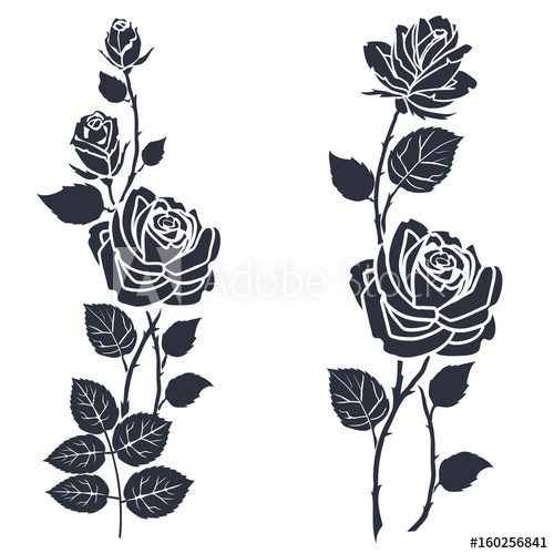 500x500 Rose Tattoo. Silhouette Of Roses And Leaves On A White Background