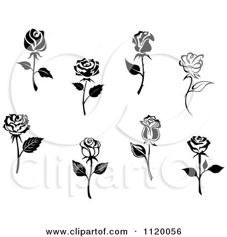 450x470 Clipart Of Black And White Rose Flowers