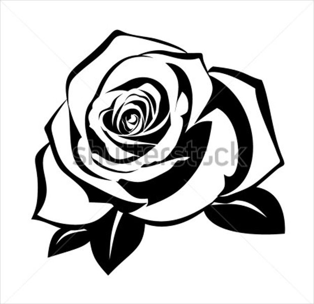 Rose Vector
