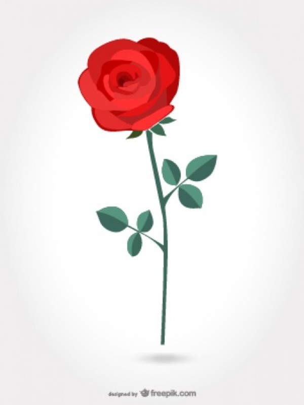 600x797 Free Vector Red Rose Flowers 123freevectors