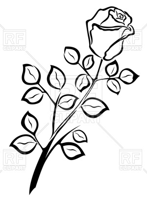 300x400 Outline Of Rose Vector Image Vector Artwork Of Plants And