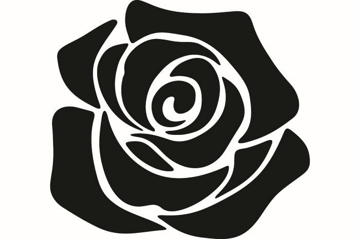 700x466 Rose Vector
