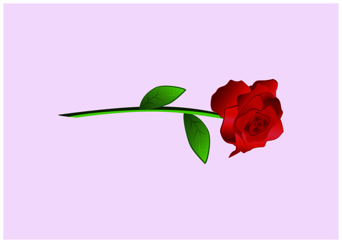 500x356 Rose Vector Free Download