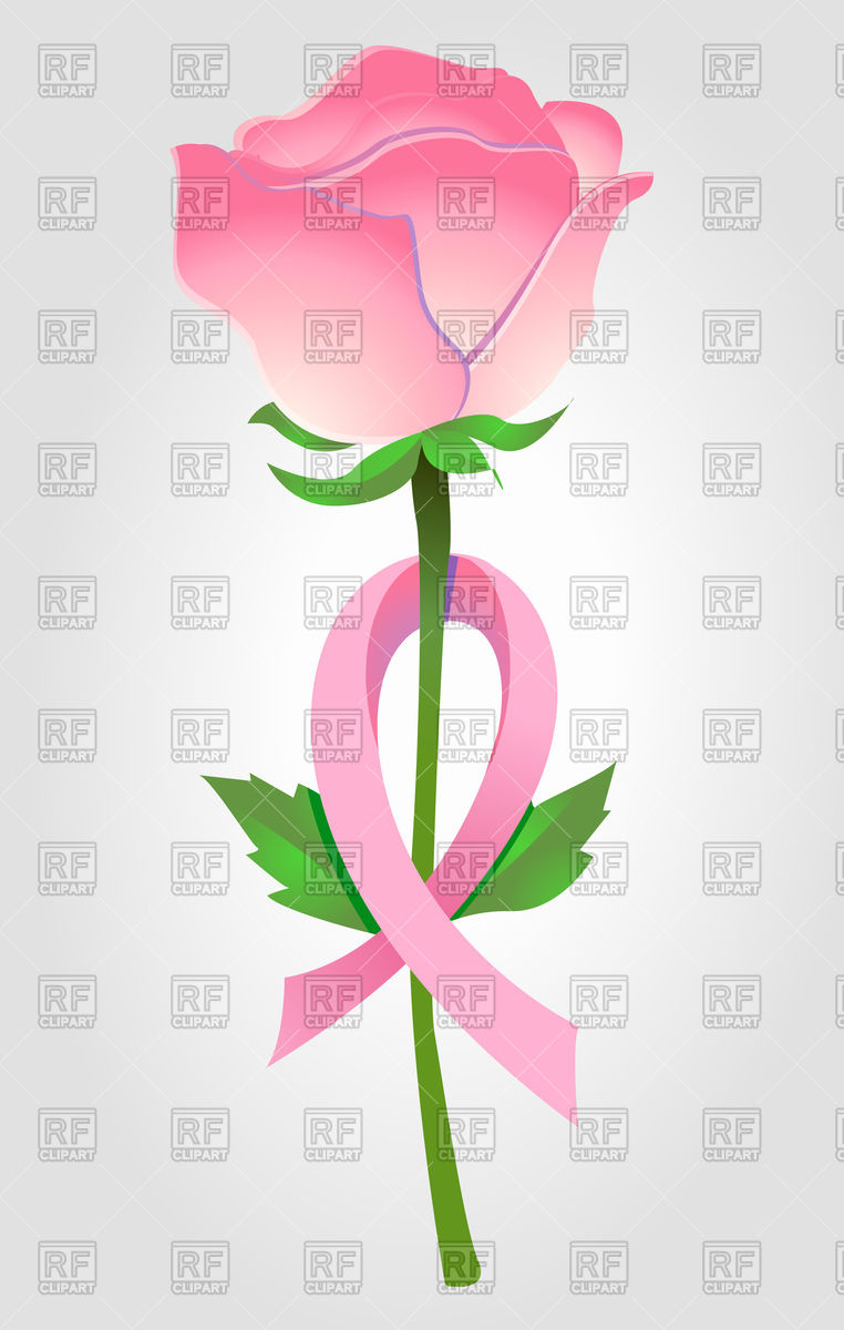 762x1200 Breast Cancer Awareness Pink Ribbon On Rose Vector Image Vector