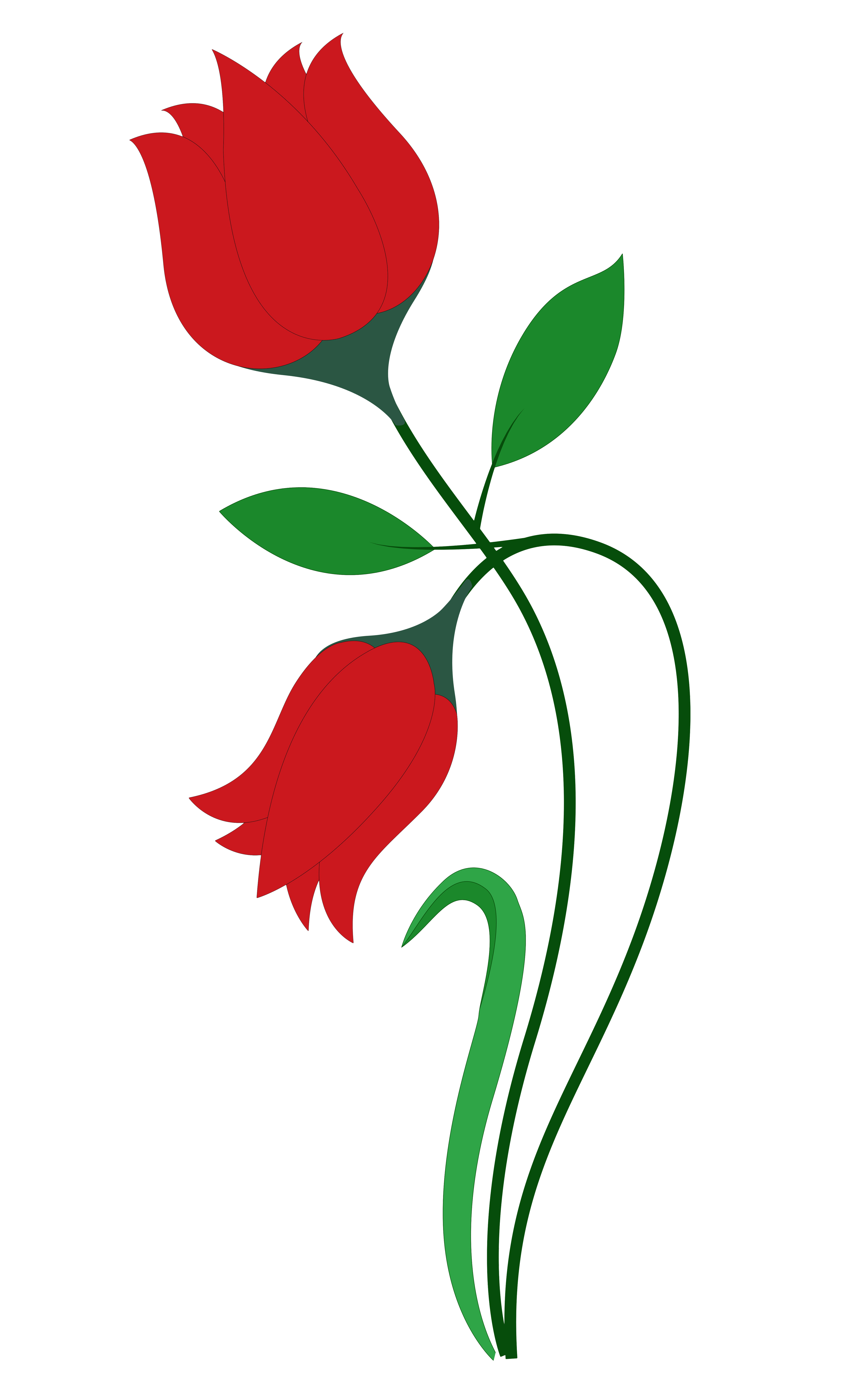 3400x5598 Collection Of Free Rose Vector Art. Download On Ubisafe