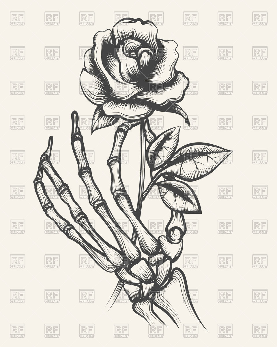 960x1200 Hand Drawn Skeleton Bones Hand With Rose Vector Image Vector