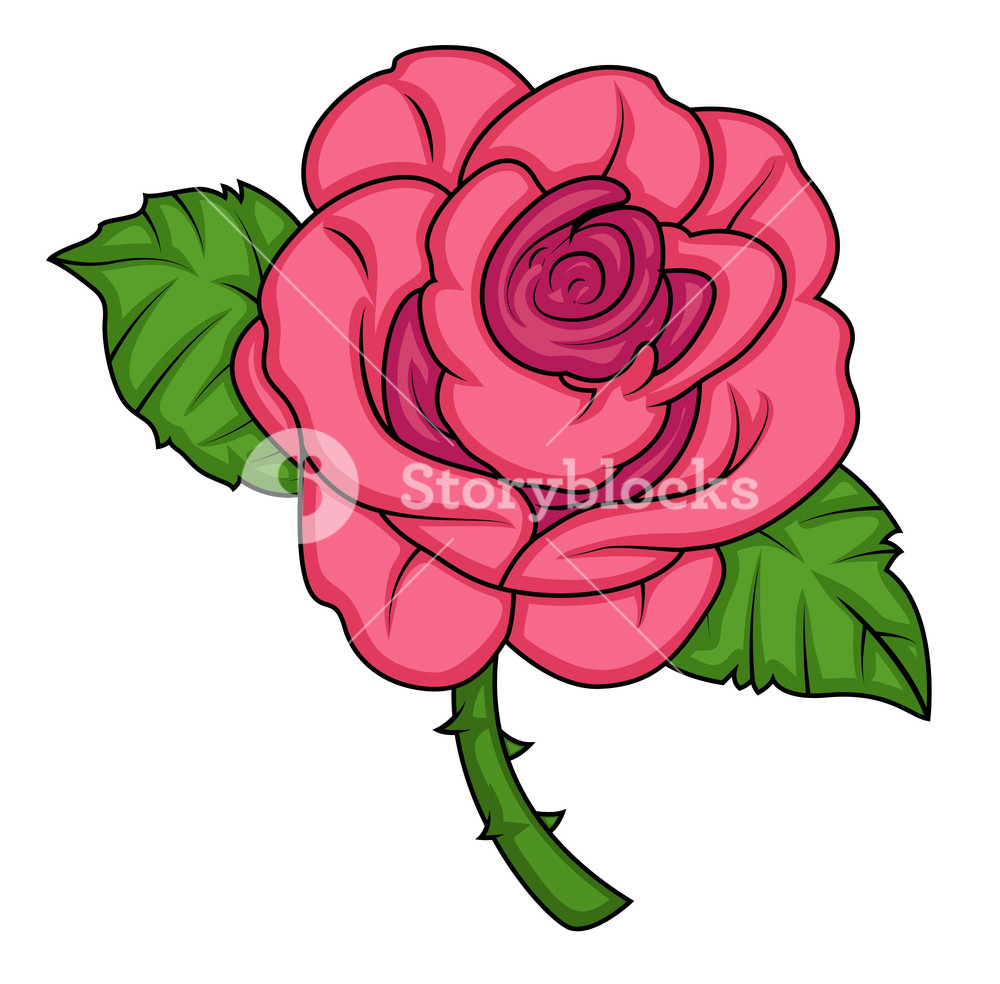 1000x984 Pink Rose Vector Royalty Free Stock Image