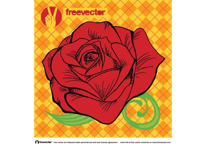 700x490 Rose Vector