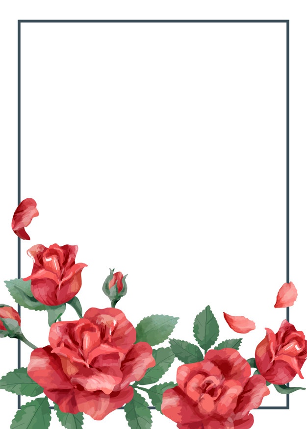 626x876 Roses Vectors, Photos And Psd Files Free Download