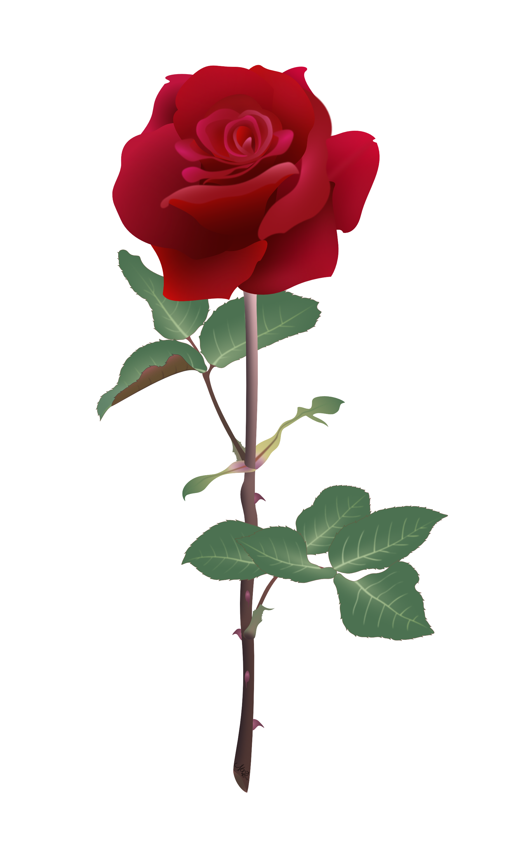 1788x2888 Ruby Rose Vector Art By Noor