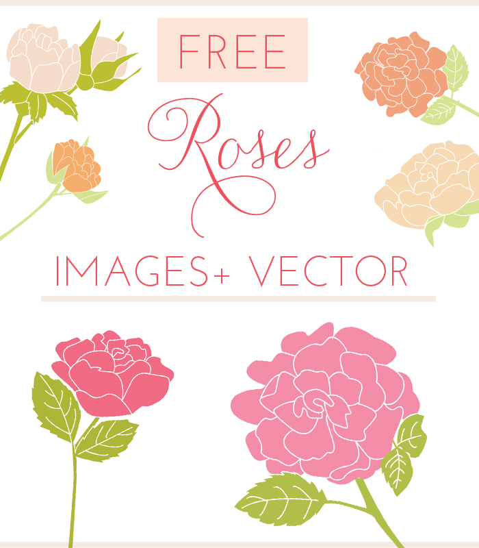 700x800 Free Rose Vector Clip Art Amp Rose Images