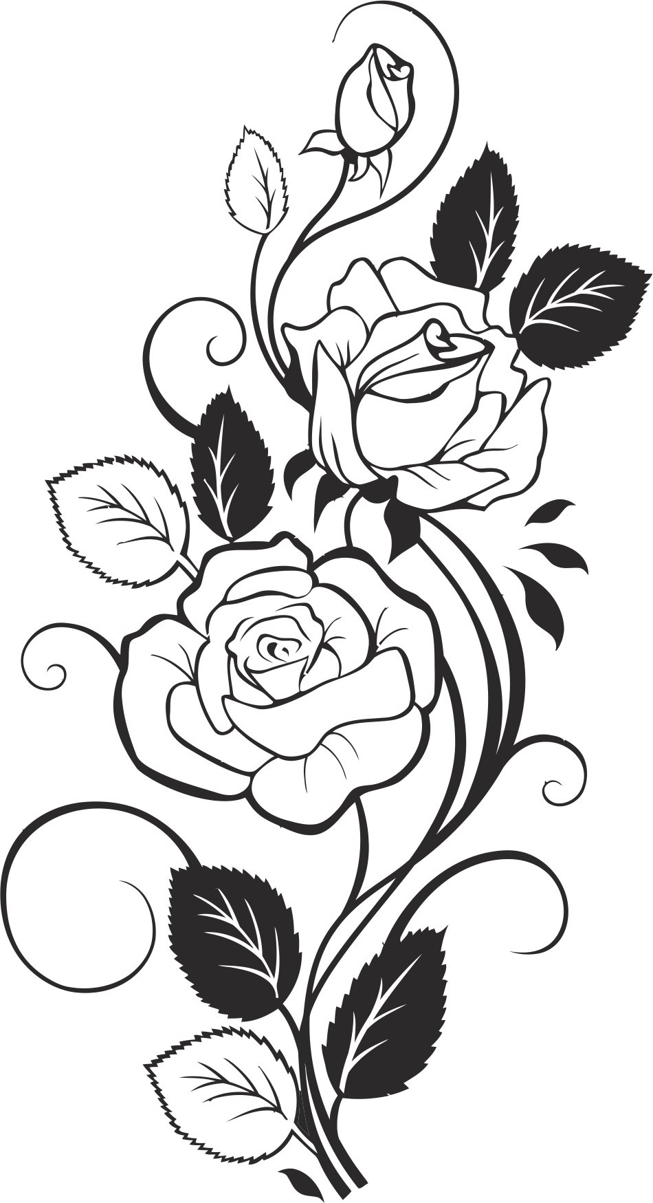 950x1749 Black And White Rose Vector Free Vector Download