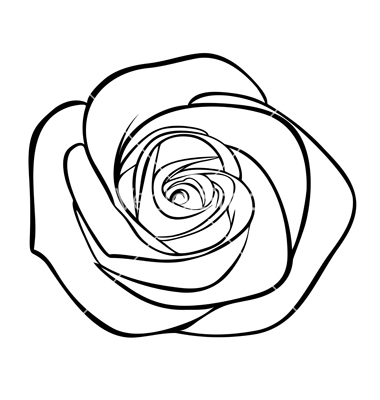 380x400 Drawn Vector Rose