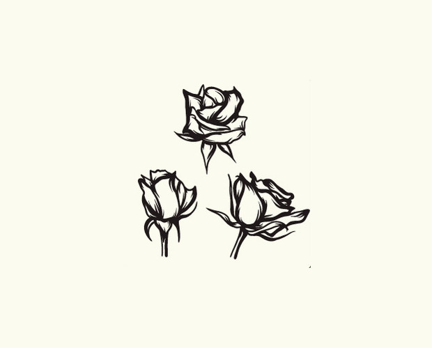 620x500 Rose Vectors