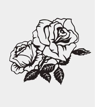 328x368 White Rose Vector Free Vector Download (8,523 Free Vector) For