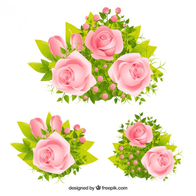626x626 Pink Roses Vector Free Download