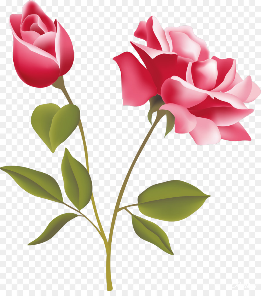 900x1020 Rose Pink Free Clip Art