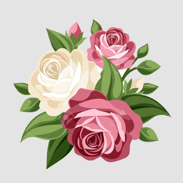 600x600 Rose Vectors