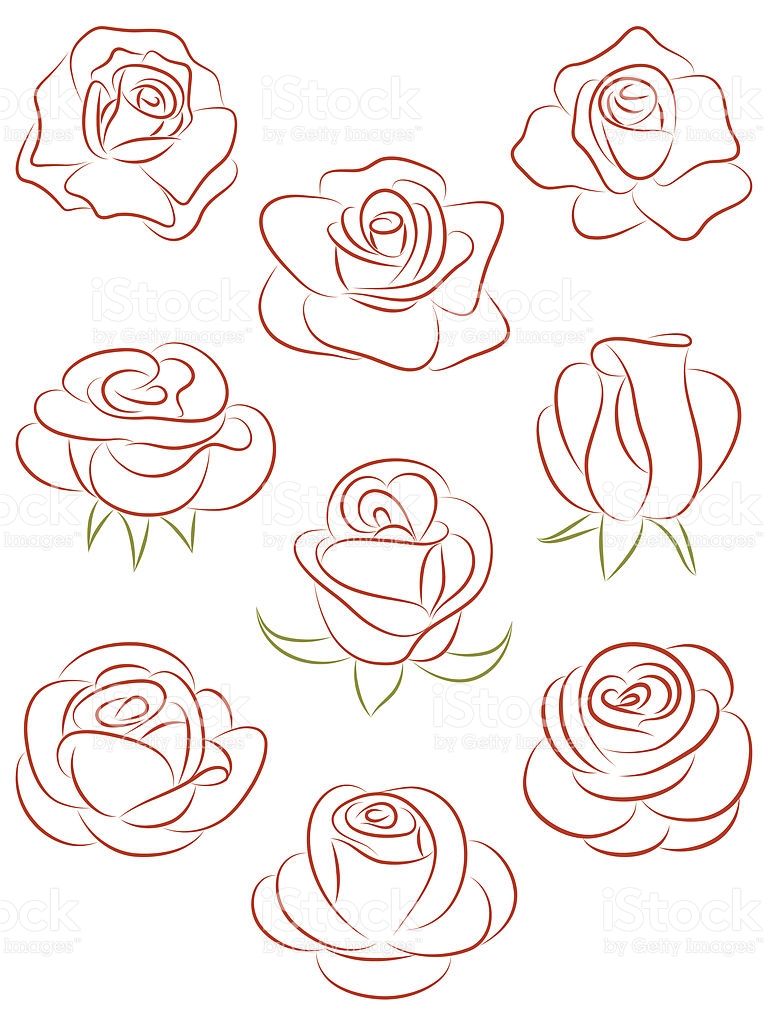 768x1024 Set Of Roses. Vector Illustration. Flower Patterns