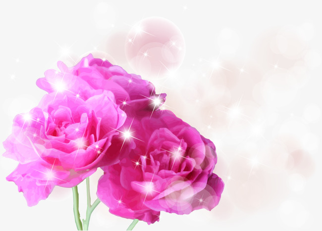 650x467 Vector Rose, Rose, Vector Free Download, Flowers Png And Vector