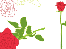 270x200 Free Rose Vector Graphics