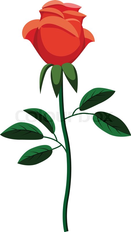 454x800 Rose Icon. Cartoon Illustration Of Rose Vector Icon For Web