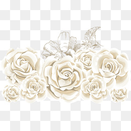 260x260 White Rose Png, Vectors, Psd, And Clipart For Free Download Pngtree