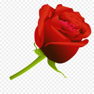 300x300 Png Rose Clip Art Rose Vector Orangiausa