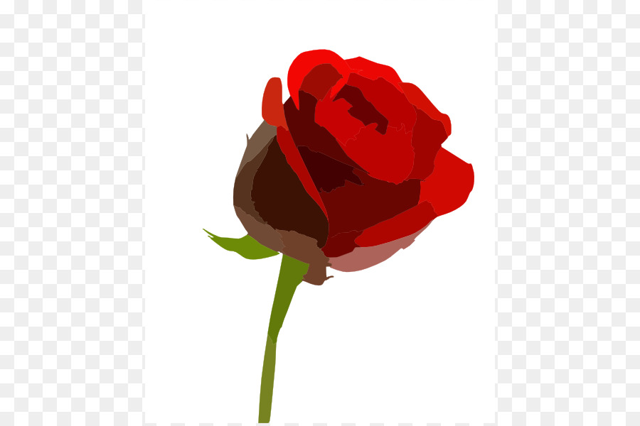 900x600 Rose Cut Flowers Drawing Clip Art