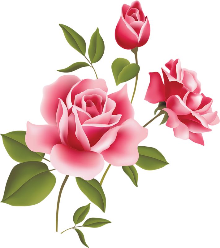 711x800 Rose Gold Flower Vector