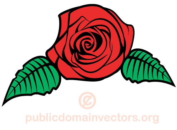600x440 Vector Rose Flower Image 123freevectors