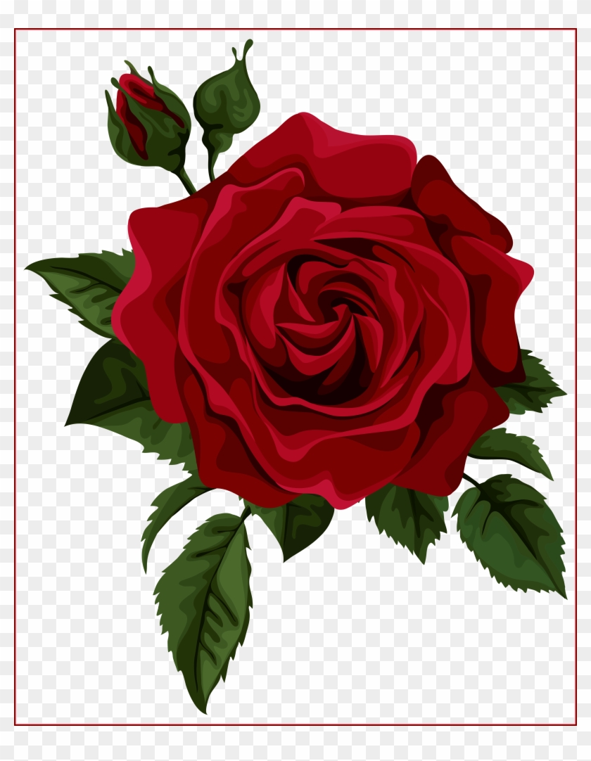 840x1082 Beautiful Clipart Red Rose