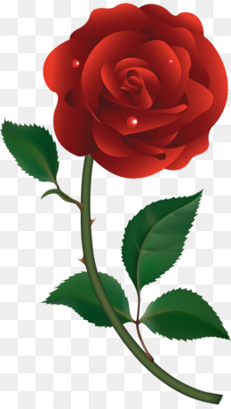 260x460 Download Rose Vector Png Clipart Clip Art