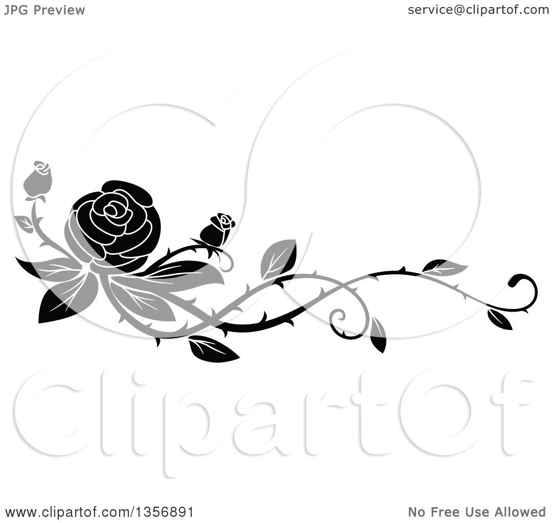 1080x1024 Clipart Of A Black And White Floral Rose Vine Border Design