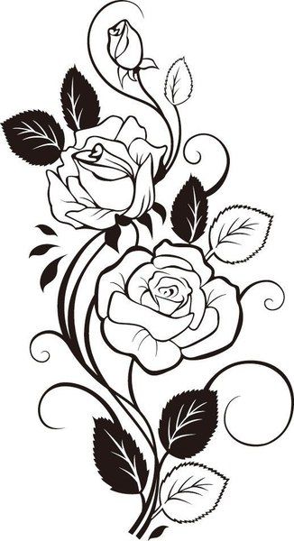 326x600 Rose Vine Drawing Vector Art Dxf File Free Download
