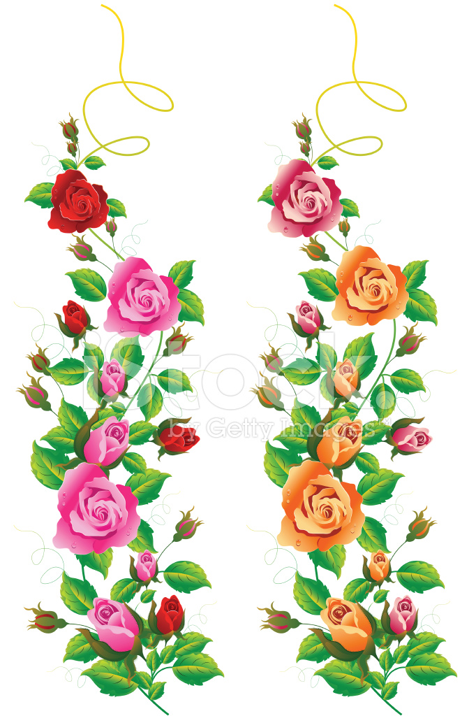 682x1024 Rose Vine Stock Vector
