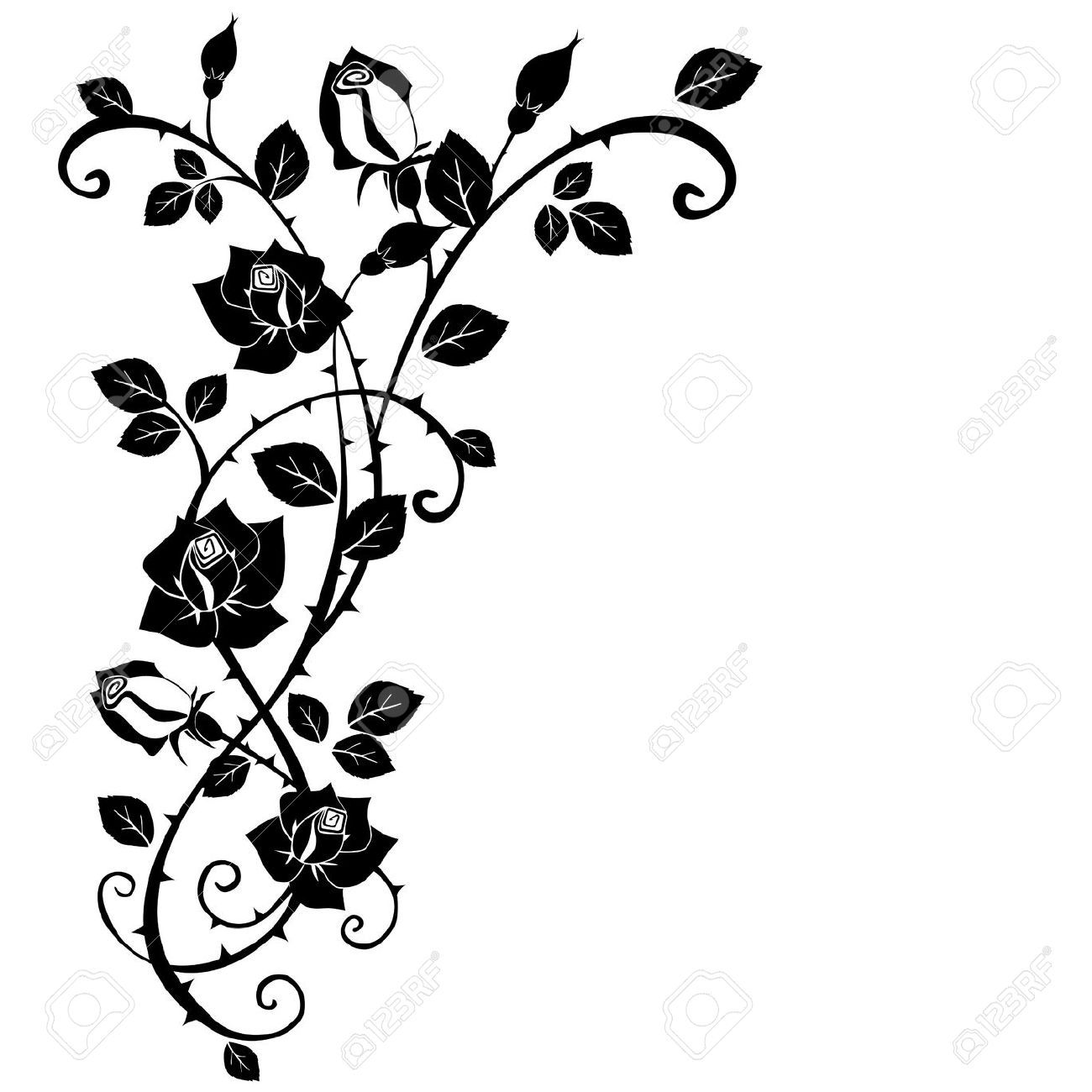 1300x1300 Roses Branch Vine Tattoo Vector